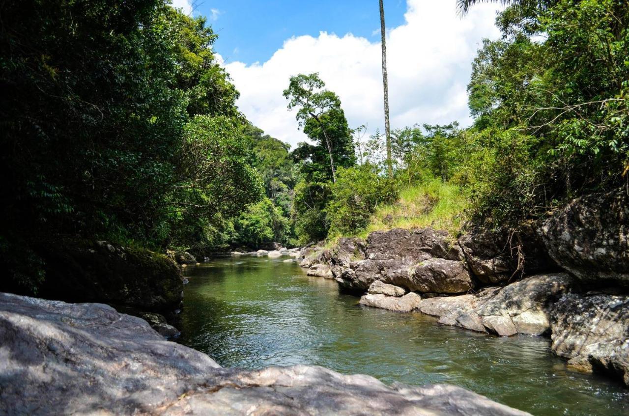 Sitio Flor Das Aguas Lumiar Ngoại thất bức ảnh