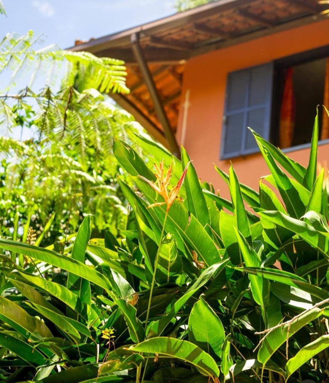 Sitio Flor Das Aguas Lumiar Ngoại thất bức ảnh